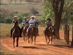 Parece imagem de filme de faroeste - Renata, Ccero Junqueira e os pees da fazenda em busca de um bela paisagem para fazer as imagens do programa