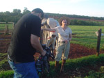 Esse sorriso  famoso. Regina Duarte se divertindo na gravao do programa Criadores