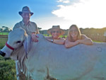 Renata Ryff Moreira com o casal casal Eduardo Lippincott e Regina Duarte - A criao de gado Brahman nasceu do amor desse casal - Barretos/SP