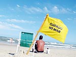 A bandeira amarela  a mais freqente no litoral gacho