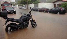 Daniel Conzi&nbsp;/&nbsp;