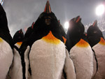 Ala de piguins tambm esteve presente na Viradouro