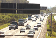 Ronaldo Bernardi &nbsp;/&nbsp;