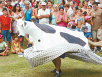 Acompanhar a apresentao do boi-de-mamo e vibrar com a brincadeira faz parte do folclore da Capital catarinense