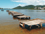 Plataformas usadas para que pescadores joguem suas tarrafas na Lagoa