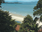 Praia do Forte, no Norte da Ilha, consegue combinar rea verde, areias claras e guas azuis