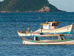 S de barco  possvel chegar  Ilha do Campeche, local para visitao