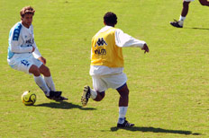 Fl&aacute;vio Neves &nbsp;/&nbsp;