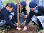 Alunos de escola militar plantam muda
