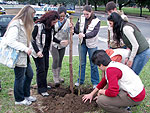 Plantio feito por equipe da Sema