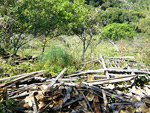 Local onde era casa de Carlinhos Hartlieb, na Praia do Rosa SC