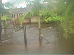 Chuva deixou casas e ruas alagadas em So Francisco