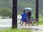 Pessoas esperam para atravessar a rua Bento Gonalves em Joinville