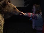 As meninas viram os animais empalhados dentro do Artikum
