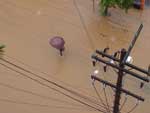 Leitora enviou fotos da situao da rua Itaipolis, no bairro Saguau, neste sbado em Joinville