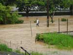 Em definio do prprio autor das fotos, a caos na Beira-rio, perto do meio-dia de sbado. Leandro Schmitz mostra como pedestres e motoristas sofreram com a chuva forte aliada  elevao da mar. 