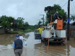 Na Rua Bento Torquato da Rocha, em Joinville, a Celesc comea a religar a energia