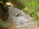 Carro cai no ribeir�o em Blumenau
