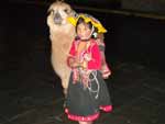 Menina em treajes tpicos anda com uma lhama pelas ruas de Cusco