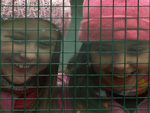 Amanda e Nicole no Zoolgico de Ranua