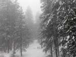 A Califrnia est em estado federal de emergncia devido  intensidade das tempestades de neve