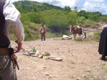 Curta Rango