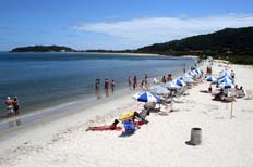 Praia da Cachoeira do Bom Jesus, na Capital, passou pelo teste da Fatma&nbsp;-&nbsp;Alvar�lio Kurossu