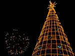 A rvore de natal