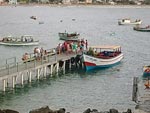 Praia da Armao recebendo turistas da ilha de Campeche