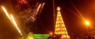 Divulga��o