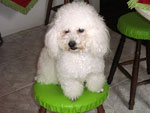 Billy