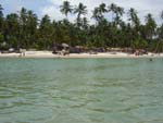 Praia dos Carneiros em Tamandar Pernambuco. O paraiso  aqui, diz Nathalia Borges Fortes