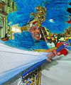 Rog�rio Silva