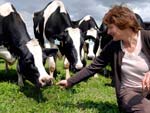 A agricultora britnica Gillian Butler cuida de suas vacas como se fossem da famlia