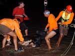 Moradores e bombeiros tentam salvar os animais do campo