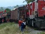 A rodovia fica no limite dos municpios de Capo do Leo e de Pelotas