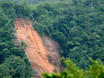 A fora da gua destruiu a mata ciliar e danificou estradas que margeiam o rio Serra Velha, em Timb do Sul