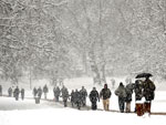 Green Park, em Londres, coberto pela neve