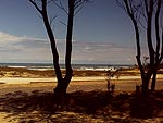 Nova Tramanda  uma das poucas praias que mantm rvores perto da orla