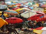 O tempo bom atraiu todos para a praia