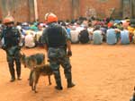 Participaram da revista do presdio 90 policiais militares, 22 viaturas, trs ces de choque e um farejador