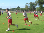 O provvel time colorado para a partida ter: Lauro (Michel Alves); Bolvar, ndio, Danny Morais e Kleber; Sandro, Magro, Guiazu e Andrezinho; Taison e Nilmar