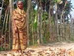 A vida no campo na vila Klowimari Khalashi, em Khulna, Bangladesh