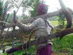 A vida no campo na vila Klowimari Khalashi, em Khulna, Bangladesh