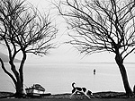 Exposio fotogrfica de Andr Paiva.