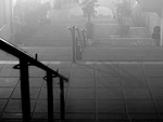 Exposio fotogrfica de Andr Paiva.