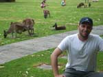 &quot;Neste cemitrio em Perth, vivem cangurus, que se alimentam das flores colocadas nos tmulos. Alm de interessante e inusitado, a entrada  gratuita&quot;