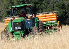 Setor agropecuário foi o de maior destaque na geração de empregos em Santa Catarina - Diego Redel
