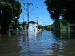 Entre os estragos j contabilizados, esto rvores derrubadas com a fora dos vento e um desabamento junto  Lagoa dos Patos