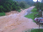 Rua Cristovo Machado de Campos no bairro Vargem Grande em Florianpolis